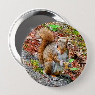 Squirrel Eating Food 10 Cm Round Badge