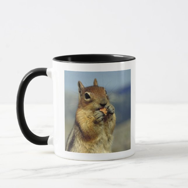 Squirrel eating mug (Left)
