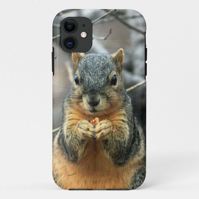 Squirrel Eating Nut Case-Mate iPhone Case (Back)
