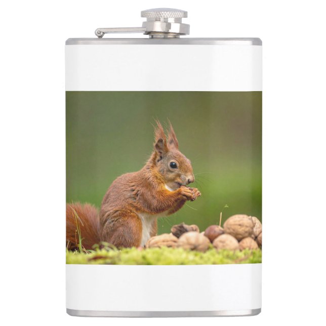 squirrel eating nut hip flask (Front)