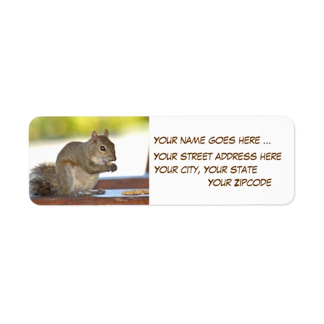 Squirrel eating peanuts Return Address Labels (Front)