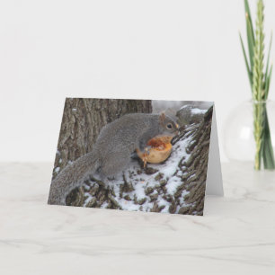 Squirrel Eats a Winter Treat Card