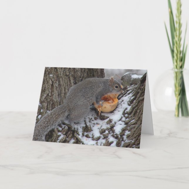 Squirrel Eats a Winter Treat Card (Front)