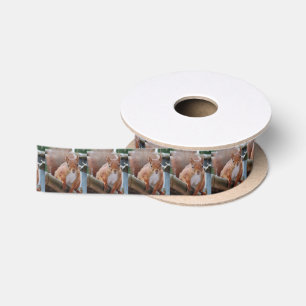 Squirrel Eichsquirnchen Écureuil - Jean-Louis Gli Satin Ribbon