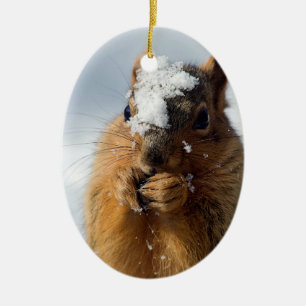 Squirrel Emerging from Snow Ceramic Tree Decoration