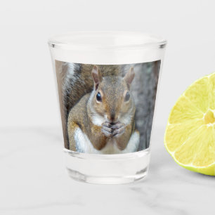 Squirrel Enjoying a Nut Shot Glass