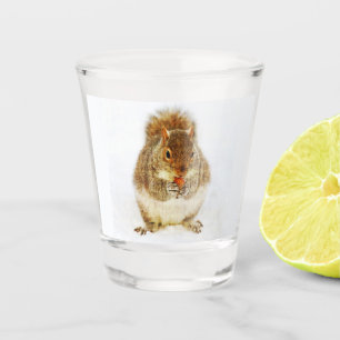 Squirrel Enjoying an Acorn Shot Glass