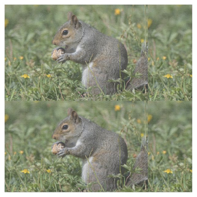 Squirrel fabric ! (Close Up)