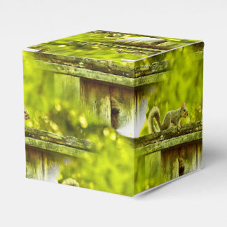 Squirrel Favour Box