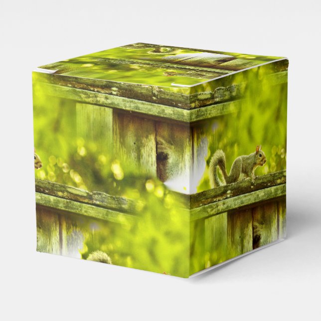 Squirrel Favour Box (Front Side)