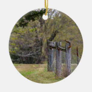 Squirrel Fence Pose Ceramic Tree Decoration