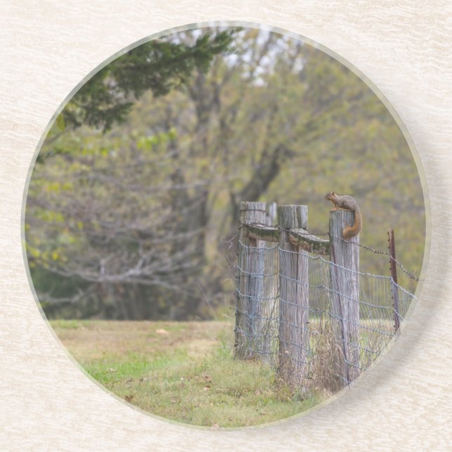 Squirrel Fence Pose Coaster (Front)