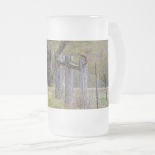 Squirrel Fence Pose Frosted Glass Beer Mug