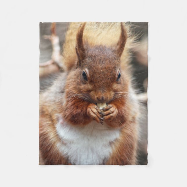Squirrel Fleece Blanket (Front)