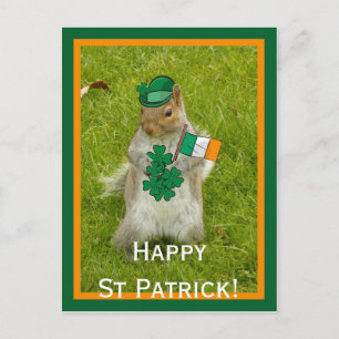 Squirrel for St Patrick Day Postcard