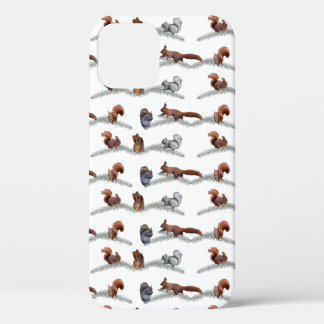 Squirrel Frenzy iPhone 12 Case (choose colour)