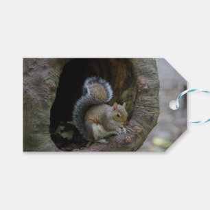 Squirrel Gift Tags