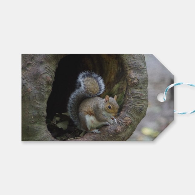 Squirrel Gift Tags (Front (Horizontal))