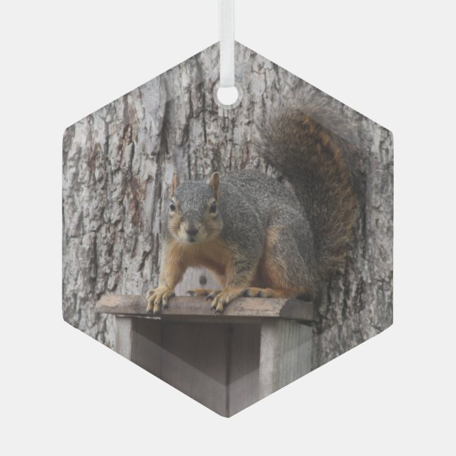 Squirrel  glass tree decoration (Front)