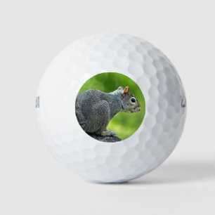 Squirrel Golf Balls