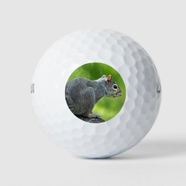 Squirrel Golf Balls (Front)