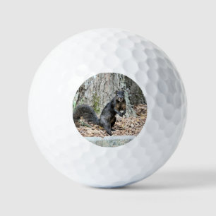 Squirrel   golf balls