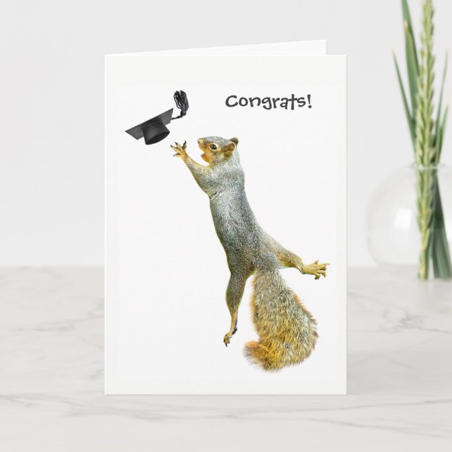 Squirrel Graduation Card (Front)