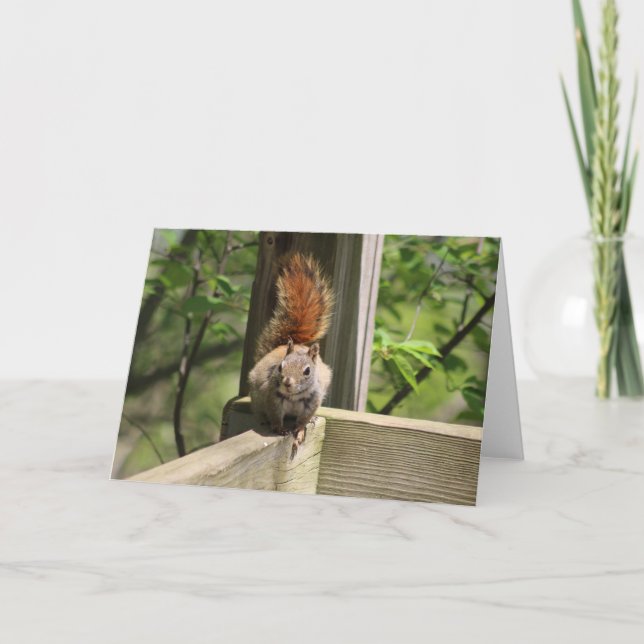 Squirrel Greeting Card (Front)