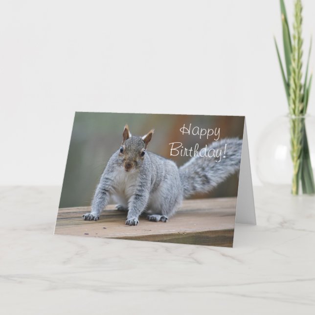 Squirrel greeting card (Front)