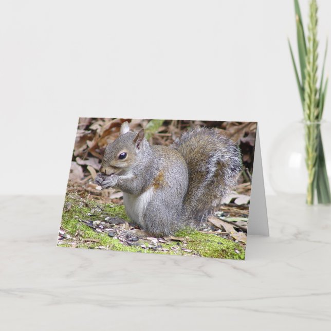 Squirrel Greeting Card (Front)