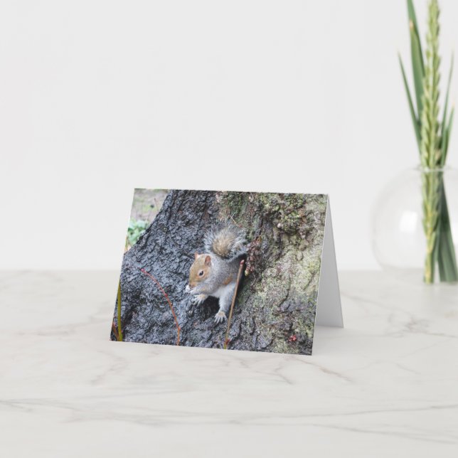 Squirrel Greeting card (Front)