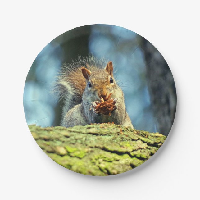 Squirrel (Grey) paper plate (Front)