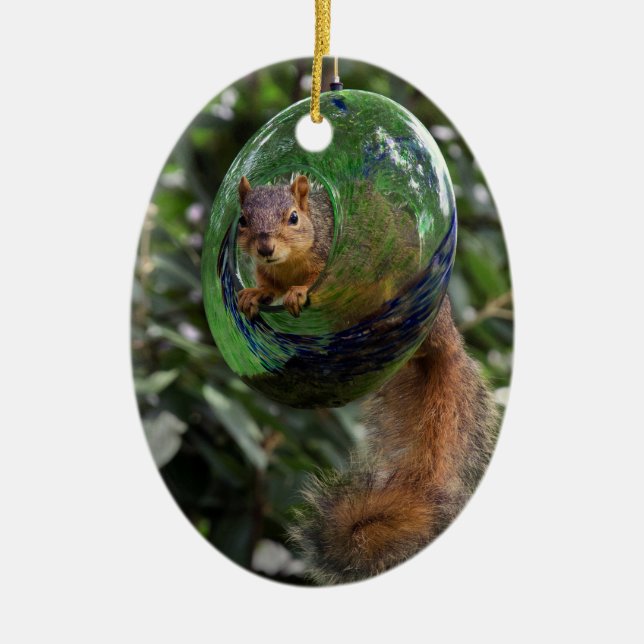 Squirrel Hanging Around Ceramic Tree Decoration (Front)