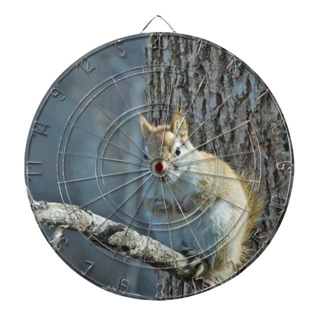 Squirrel Haters Dartboard (Front)