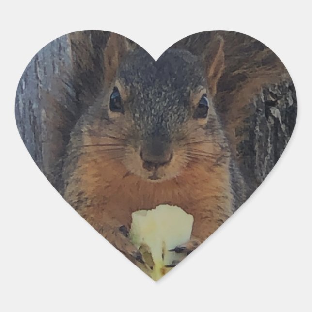 Squirrel Heart Sticker (Front)
