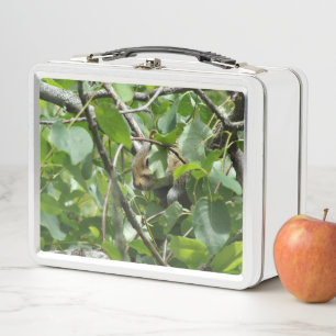Squirrel Hiding in Tree Metal Lunchbox