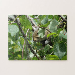 Squirrel Hiding  Jigsaw Puzzle