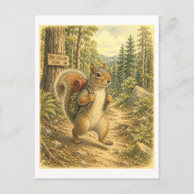 Squirrel Hiking Illustration Postcard (Front)