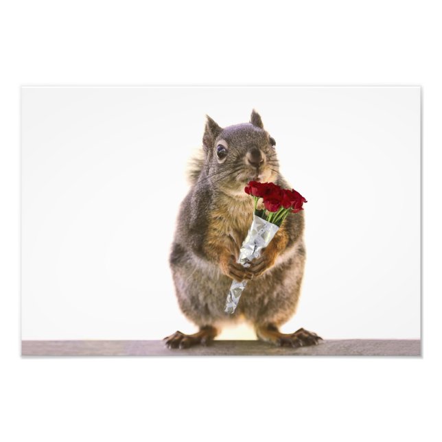Squirrel Holding Red Rose Bouquet Photo Print (Front)