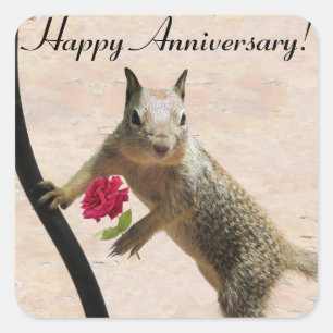 Squirrel Holding Rose Anniversary Square Sticker