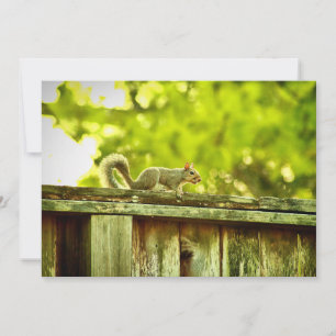 Squirrel Holiday Card