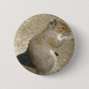 Squirrel Hungry Horatio Button