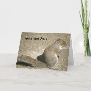 Squirrel Hungry Horatio Custom Greeting Card