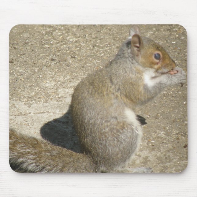 Squirrel Hungry Horatio Mousepad (Front)