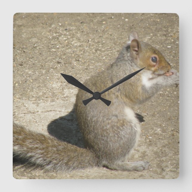 Squirrel Hungry Horatio Wall Clock (Front)