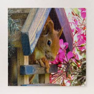 Squirrel In A Birdhouse Jigsaw Puzzle