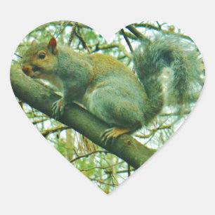 Squirrel in a Light Blue Mist Heart Sticker