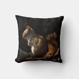 Squirrel in a Patch of Sunlight Cushion