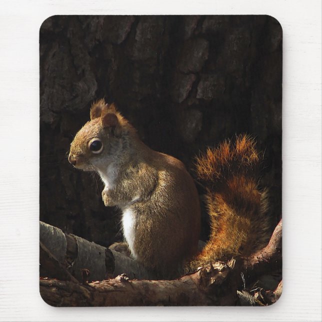 Squirrel in a Patch of Sunlight Mouse Mat (Front)