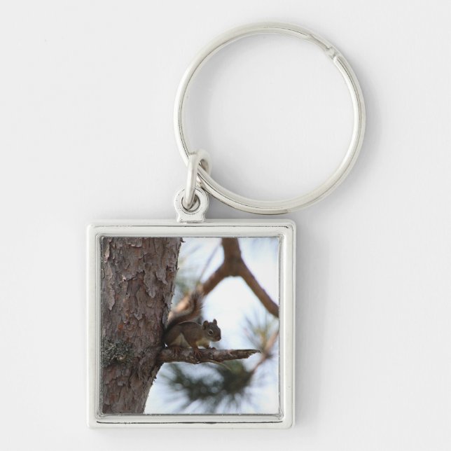 Squirrel in a Pine Tree Key Ring (Front)